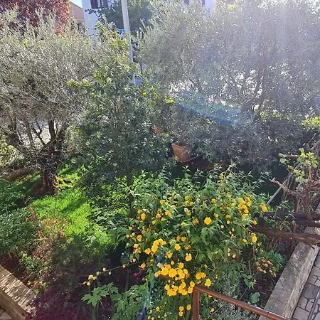 Boris Apartmán