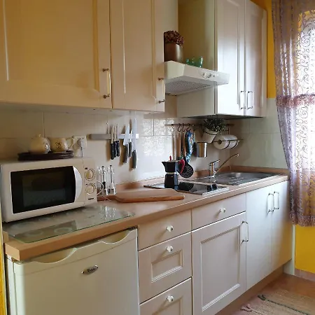 公寓 鲍里斯公寓