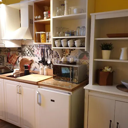 公寓 鲍里斯公寓 *