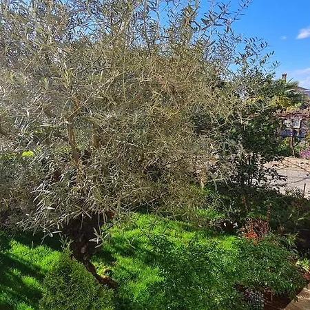 Boris Apartamento Poreč