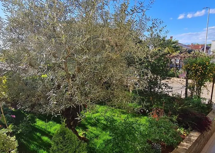 Boris Apartamento Poreč